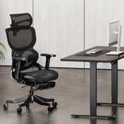 ARC Ergonomic Chair