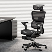 EVO Ergonomic Chair